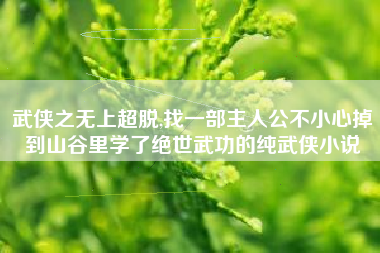 武侠之无上超脱,找一部主人公不小心掉到山谷里学了绝世武功的纯武侠小说