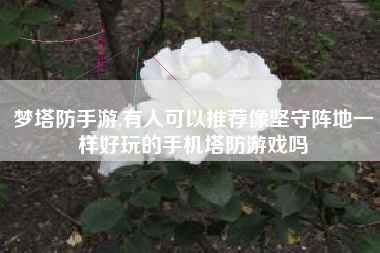 梦塔防手游,有人可以推荐像坚守阵地一样好玩的手机塔防游戏吗