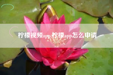 柠檬视频app,柠檬app怎么申请