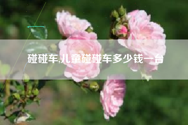 碰碰车,儿童碰碰车多少钱一台