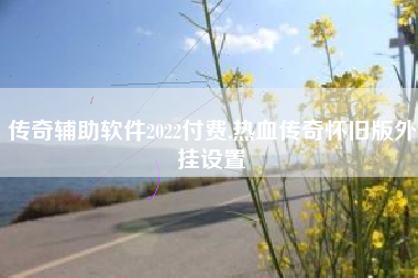 传奇辅助软件2022付费,热血传奇怀旧版外挂设置