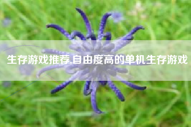 生存游戏推荐,自由度高的单机生存游戏