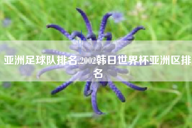亚洲足球队排名,2002韩日世界杯亚洲区排名