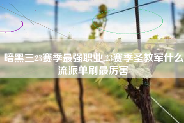 暗黑三23赛季最强职业,23赛季圣教军什么流派单刷最厉害