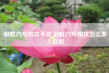 彩虹六号围攻手游,彩虹六号围攻怎么多人联机