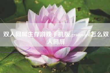 双人同屏生存游戏手机版,grounded怎么双人同屏
