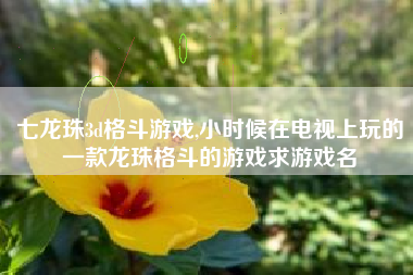 七龙珠3d格斗游戏,小时候在电视上玩的一款龙珠格斗的游戏求游戏名