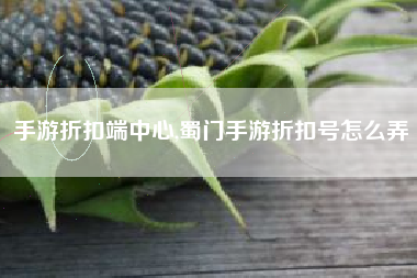 手游折扣端中心,蜀门手游折扣号怎么弄