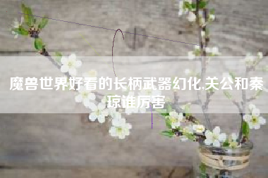 魔兽世界好看的长柄武器幻化,关公和秦琼谁厉害