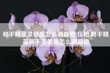 和平精英灵敏度怎么调最稳 压枪,和平精英新手灵敏度怎么调最稳