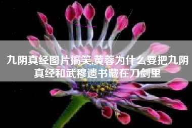 九阴真经图片搞笑,黄蓉为什么要把九阴真经和武穆遗书藏在刀剑里