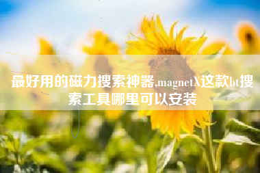 最好用的磁力搜索神器,magnetX这款bt搜索工具哪里可以安装