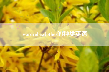 wardrobe,clothes的种类英语