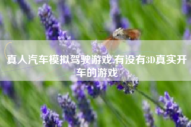 真人汽车模拟驾驶游戏,有没有3D真实开车的游戏
