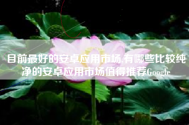 目前最好的安卓应用市场,有哪些比较纯净的安卓应用市场值得推荐Google