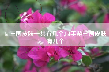 lol三国皮肤一共有几个,lol手游三国皮肤有几个