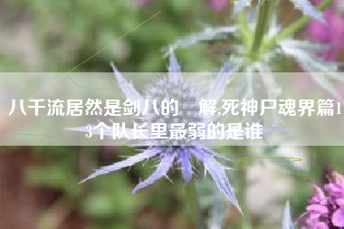 八千流居然是剑八的卍解,死神尸魂界篇13个队长里最弱的是谁