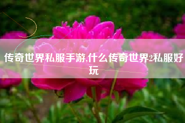 传奇世界私服手游,什么传奇世界2私服好玩