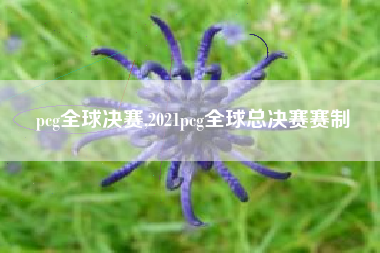pcg全球决赛,2021pcg全球总决赛赛制
