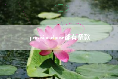 provision,clause都有条款