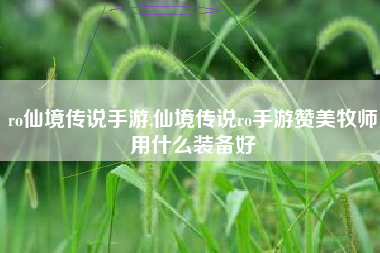 ro仙境传说手游,仙境传说ro手游赞美牧师用什么装备好