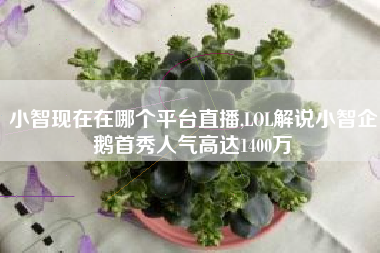 小智现在在哪个平台直播,LOL解说小智企鹅首秀人气高达1400万