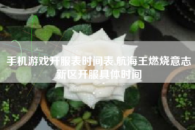 手机游戏开服表时间表,航海王燃烧意志新区开服具体时间