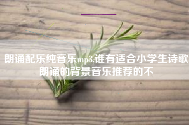 朗诵配乐纯音乐mp3,谁有适合小学生诗歌朗诵的背景音乐推荐的不
