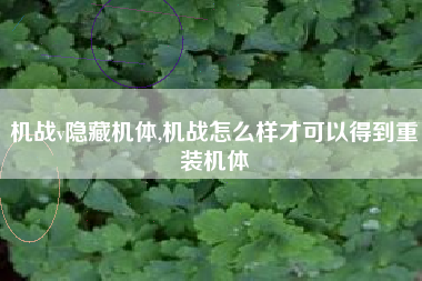 机战v隐藏机体,机战怎么样才可以得到重装机体