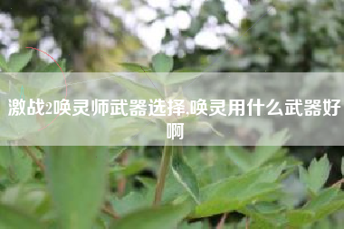 激战2唤灵师武器选择,唤灵用什么武器好啊