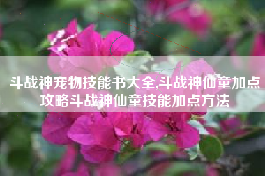 斗战神宠物技能书大全,斗战神仙童加点攻略斗战神仙童技能加点方法