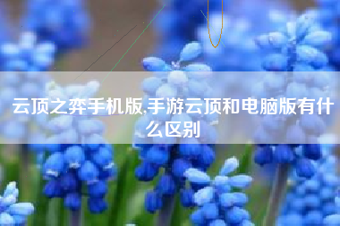云顶之弈手机版,手游云顶和电脑版有什么区别