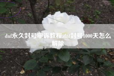 dnf永久封号申诉教程,dnf封号1000天怎么解除