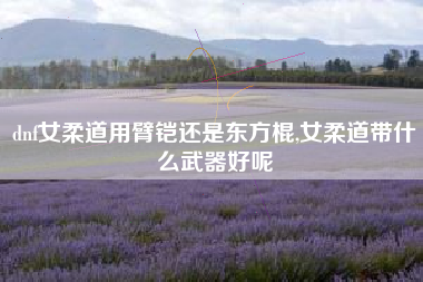 dnf女柔道用臂铠还是东方棍,女柔道带什么武器好呢