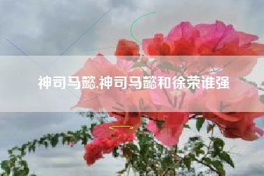 神司马懿,神司马懿和徐荣谁强