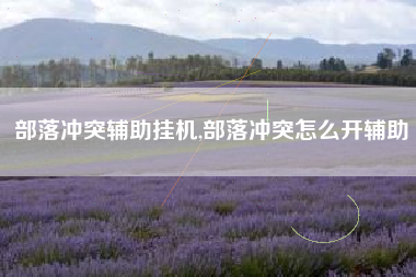 部落冲突辅助挂机,部落冲突怎么开辅助