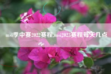 msi季中赛2022赛程,msi2023赛程每天几点