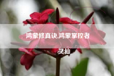 鸿蒙修真诀,鸿蒙掌控者
灵仙 鸿蒙修真诀,鸿蒙掌控者
灵仙