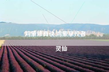 鸿蒙修真诀,鸿蒙掌控者
灵仙 鸿蒙修真诀,鸿蒙掌控者
灵仙