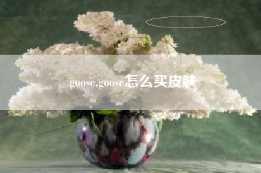 goose,goose怎么买皮肤