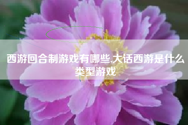 西游回合制游戏有哪些,大话西游是什么类型游戏