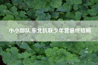 小小部队,东北抗联少年营最终结局