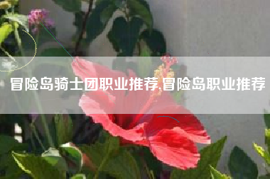 冒险岛骑士团职业推荐,冒险岛职业推荐