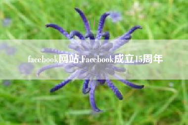 facebook网站,Facebook成立15周年