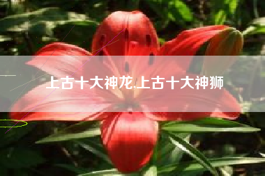 上古十大神龙,上古十大神狮