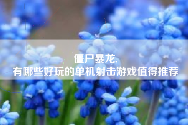 僵尸暴龙,
有哪些好玩的单机射击游戏值得推荐