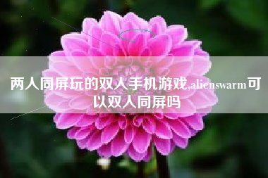 两人同屏玩的双人手机游戏,alienswarm可以双人同屏吗