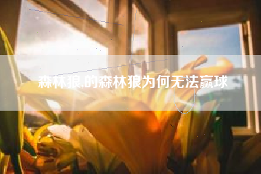 森林狼,的森林狼为何无法赢球