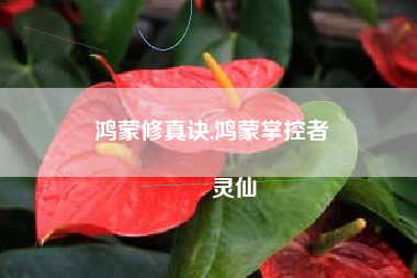 鸿蒙修真诀,鸿蒙掌控者
灵仙 鸿蒙修真诀,鸿蒙掌控者
灵仙