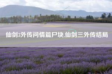 仙剑3外传问情篇尸块,仙剑三外传结局